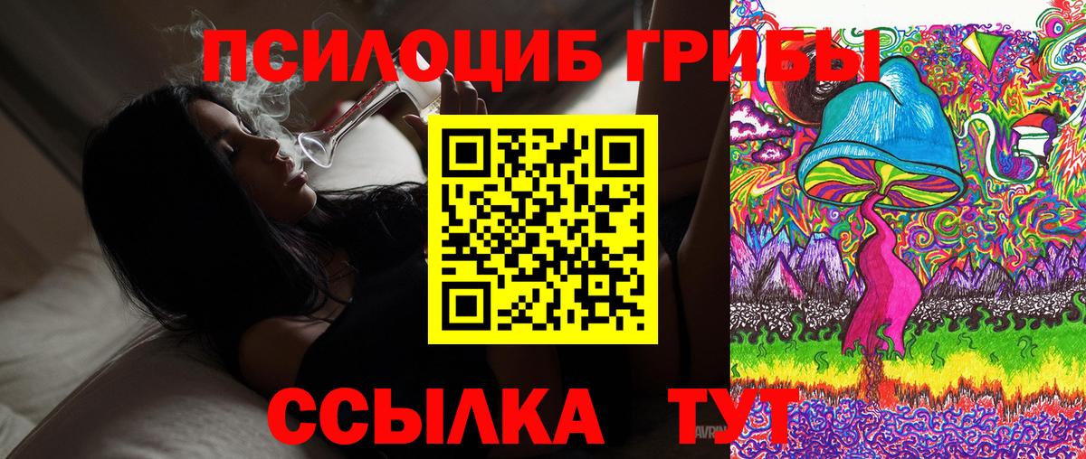 Галлюциногенные грибы Советск