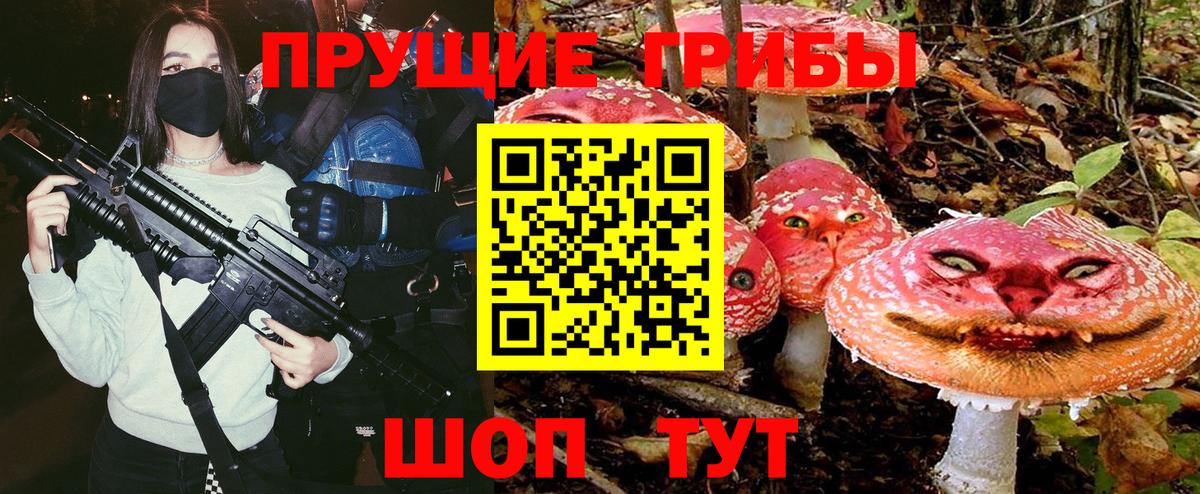 Псилоцибиновые грибы Cubensis Советск
