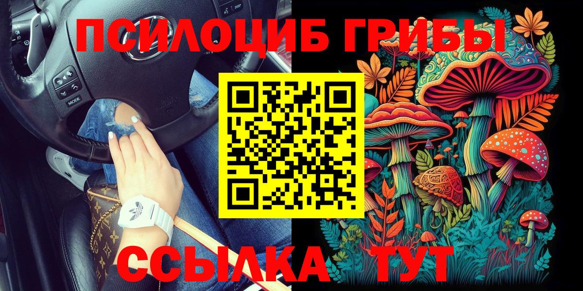 где можно купить   Вход с VPN  Советск  Псилоцибиновые грибы мухоморы  Псилоцибиновые грибы MAGIC MUSHROOMS 